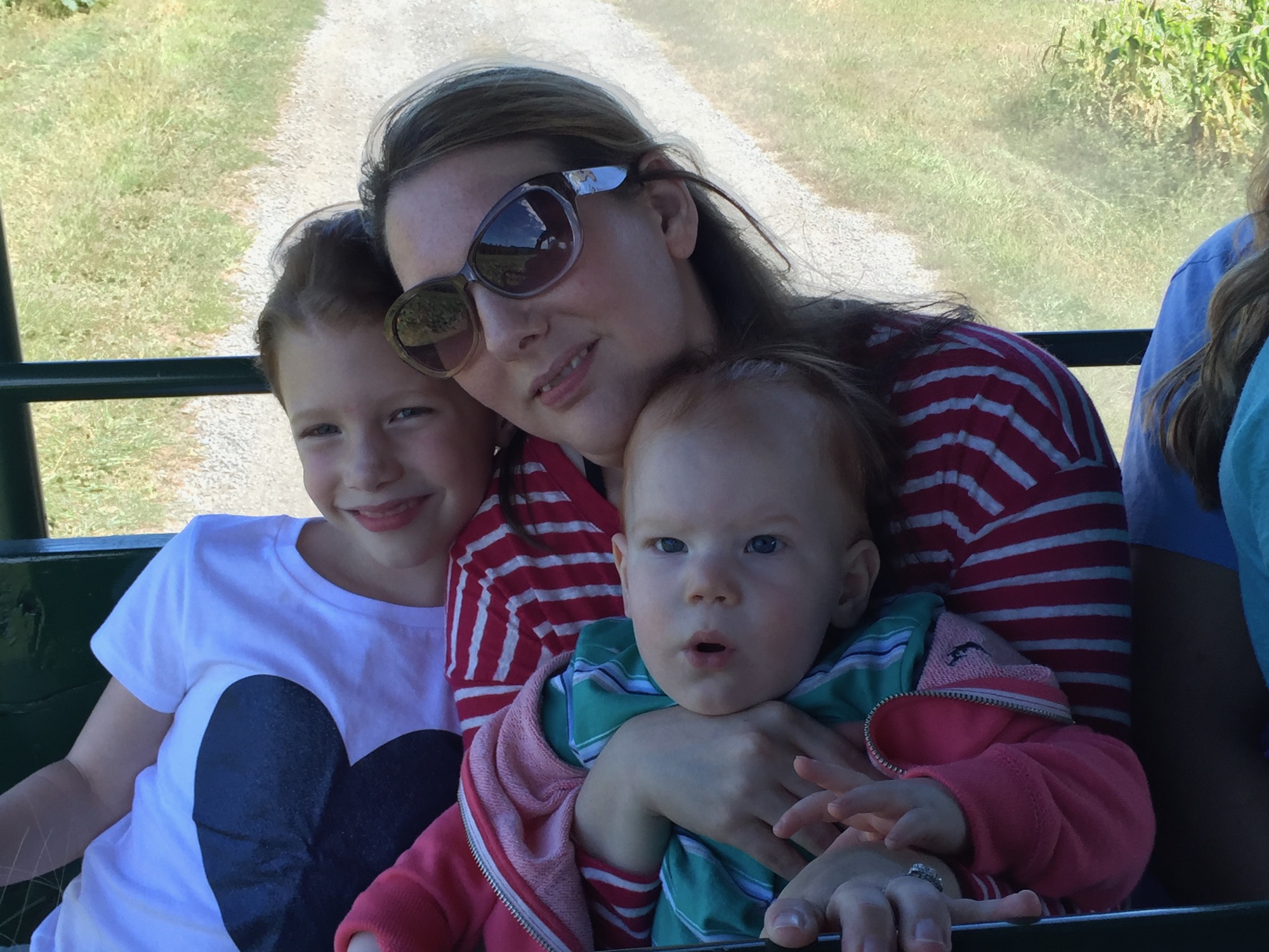 apple-picking-2015-8 photo