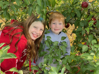 Apple Picking 2019
