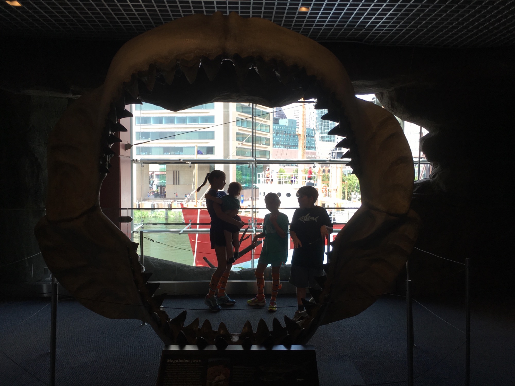 07-08-2016-baltimore-1 photo