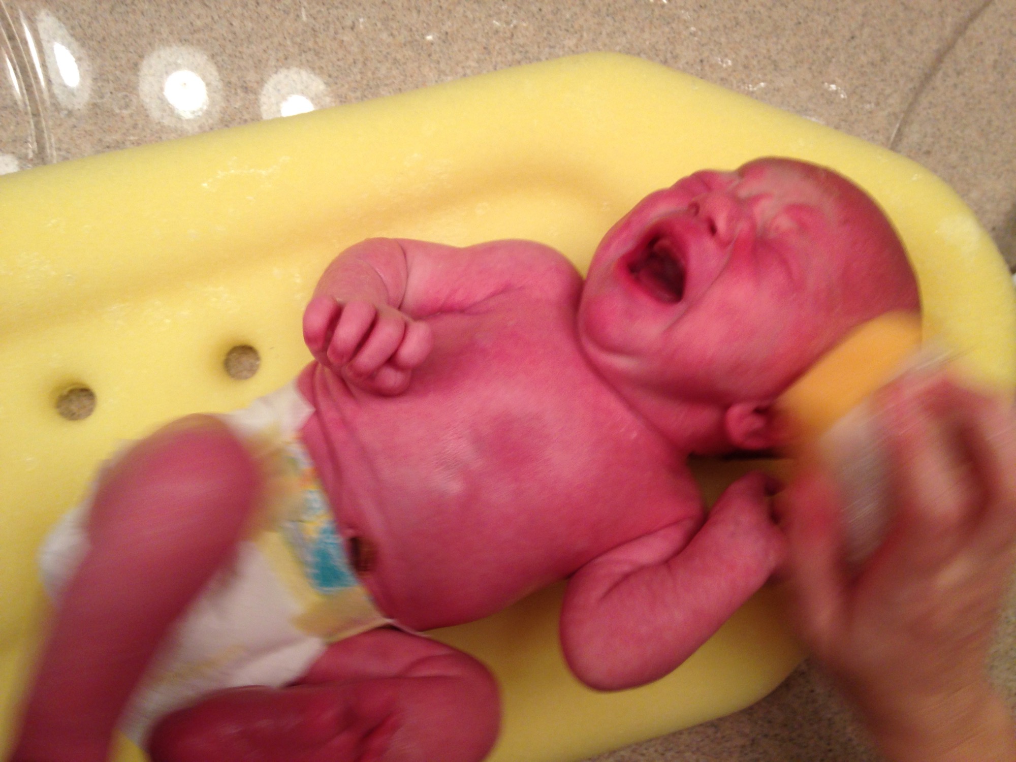 2014-08-27-first-bath-02 photo