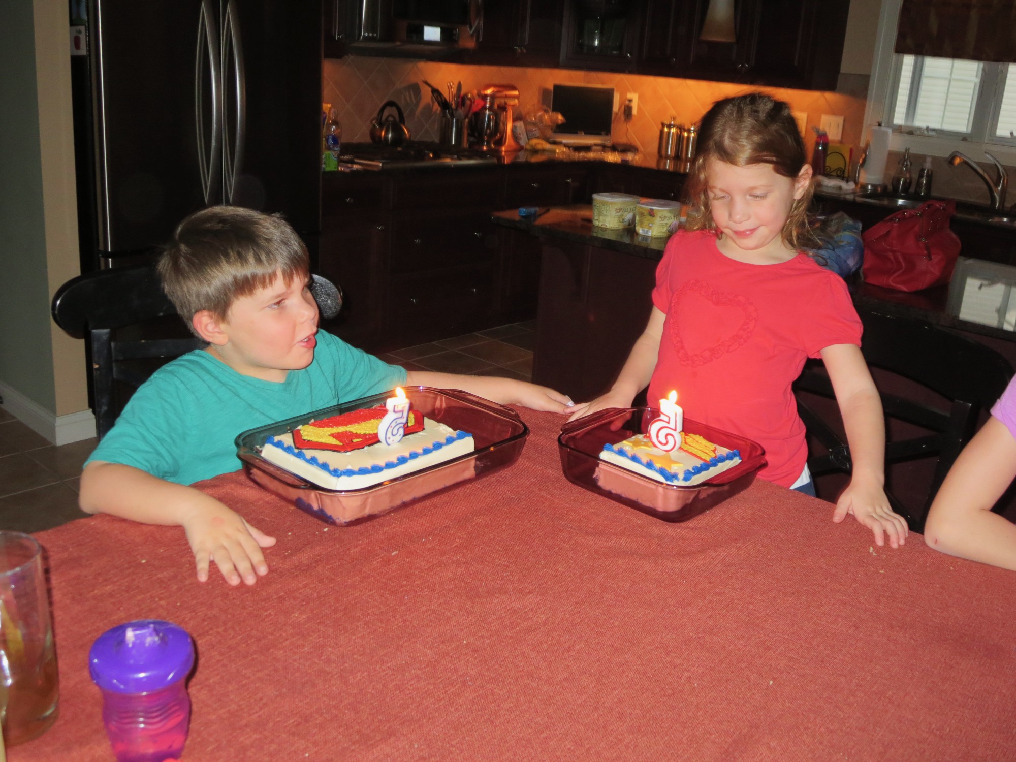 megan-carter-5th-birthday-08 photo