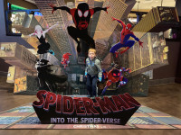 Does Whatever a Spider Can