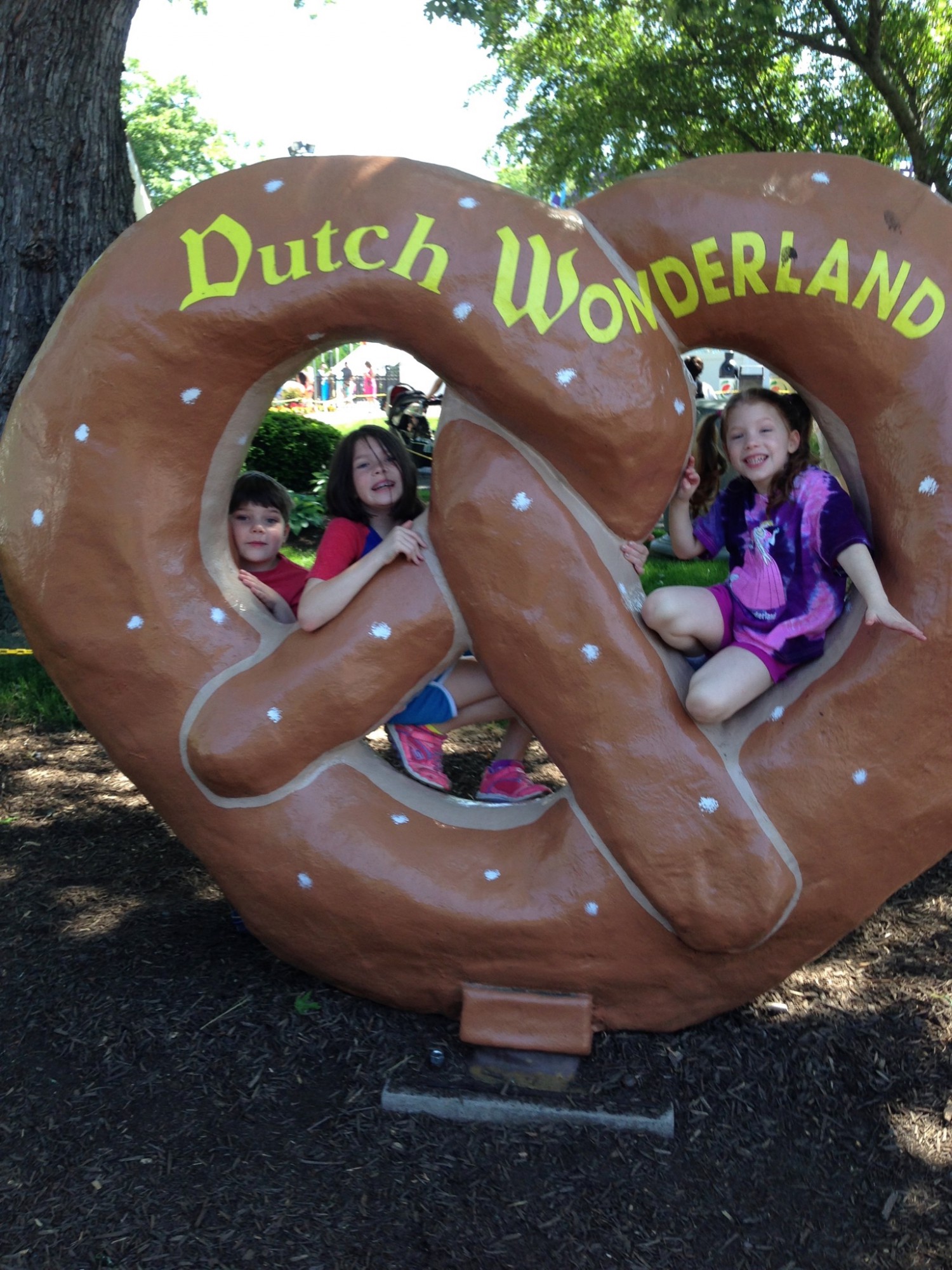 2014-06-01-dutch-wonderland photo