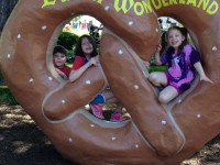 Dutch Wonderland 2014