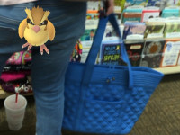 Gotta Catch'em All