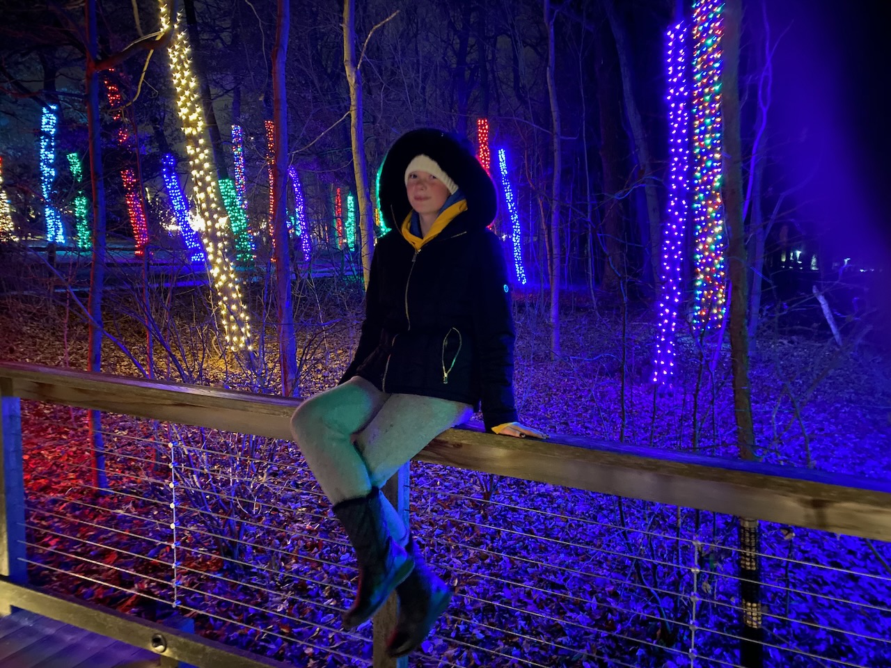 2019-12-06-holiday-happenings-2019-10 photo