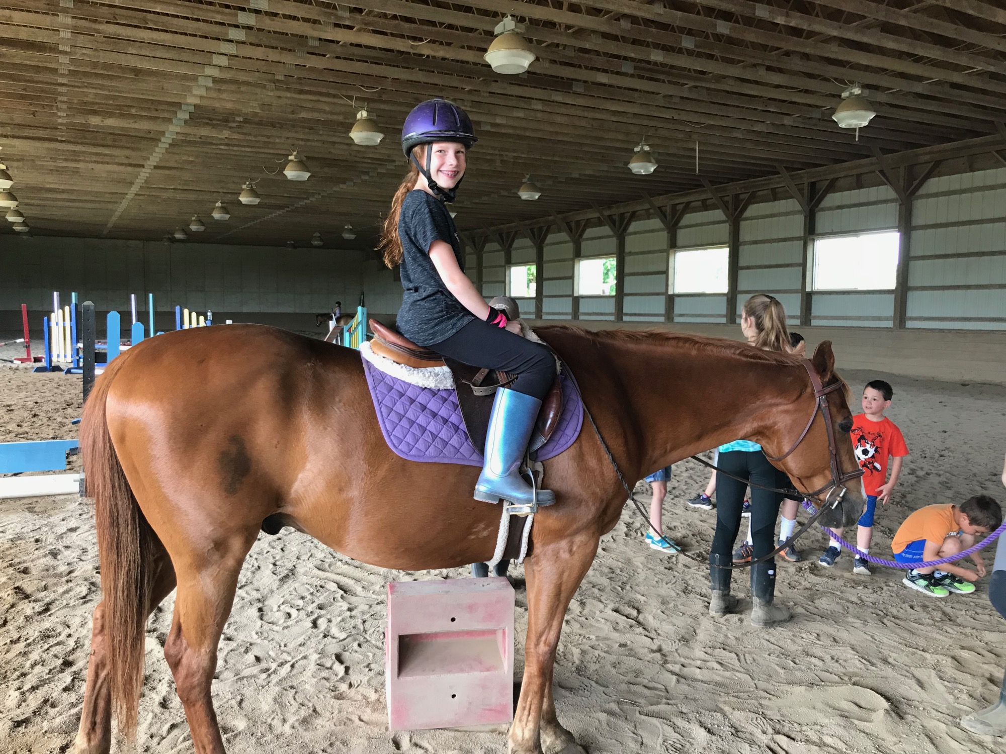 2018-06-09-meg-horse03 photo