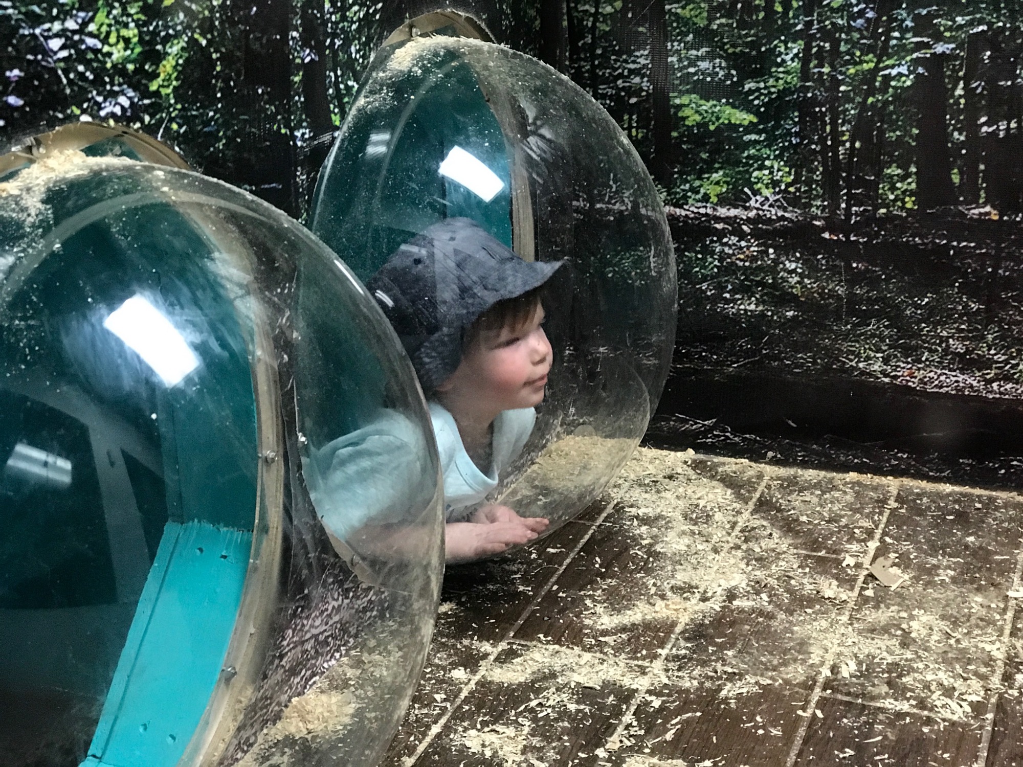 2017-06-25-ocean-city-09 photo