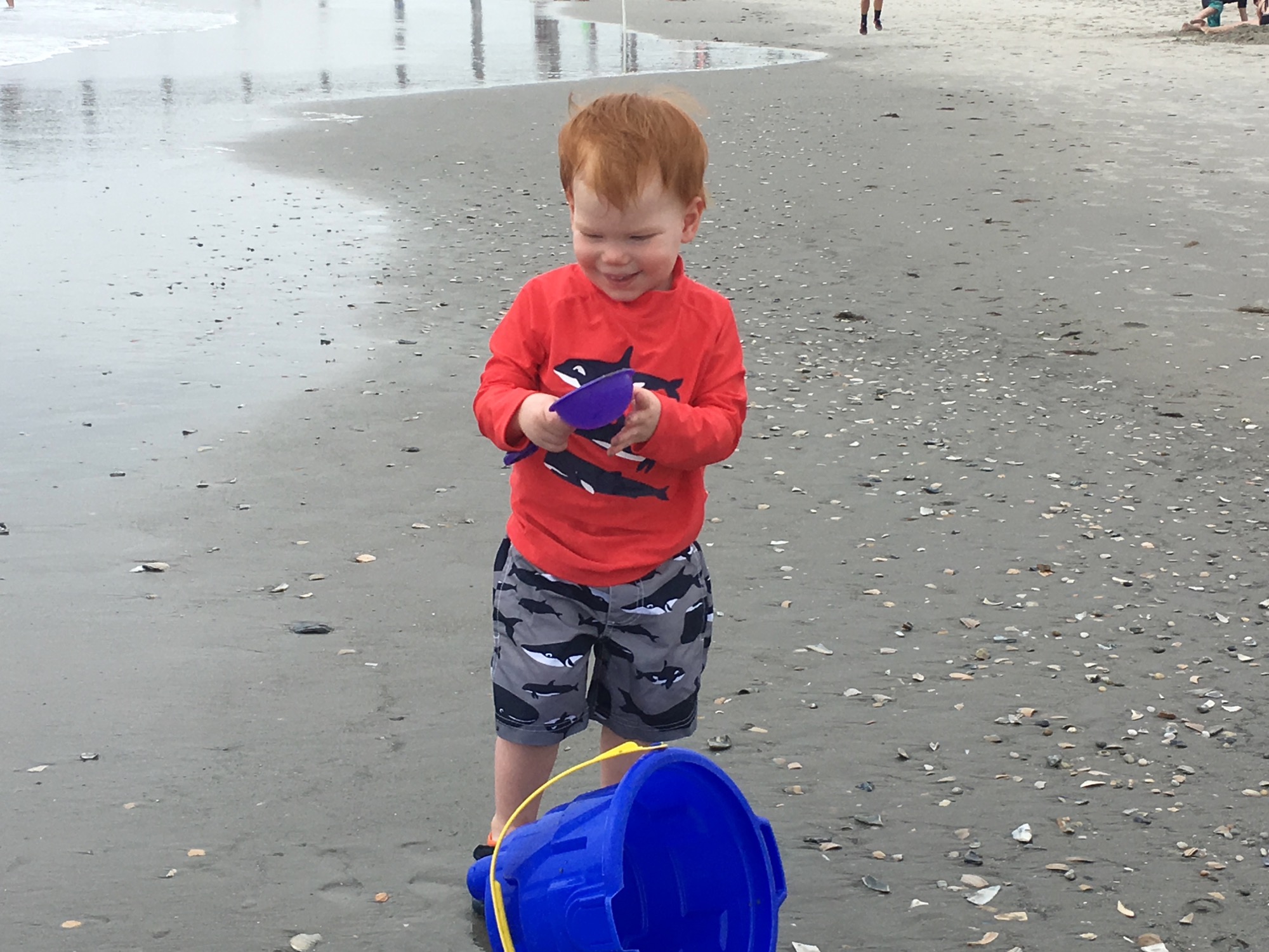 ocean-city-nj-2016-5 photo