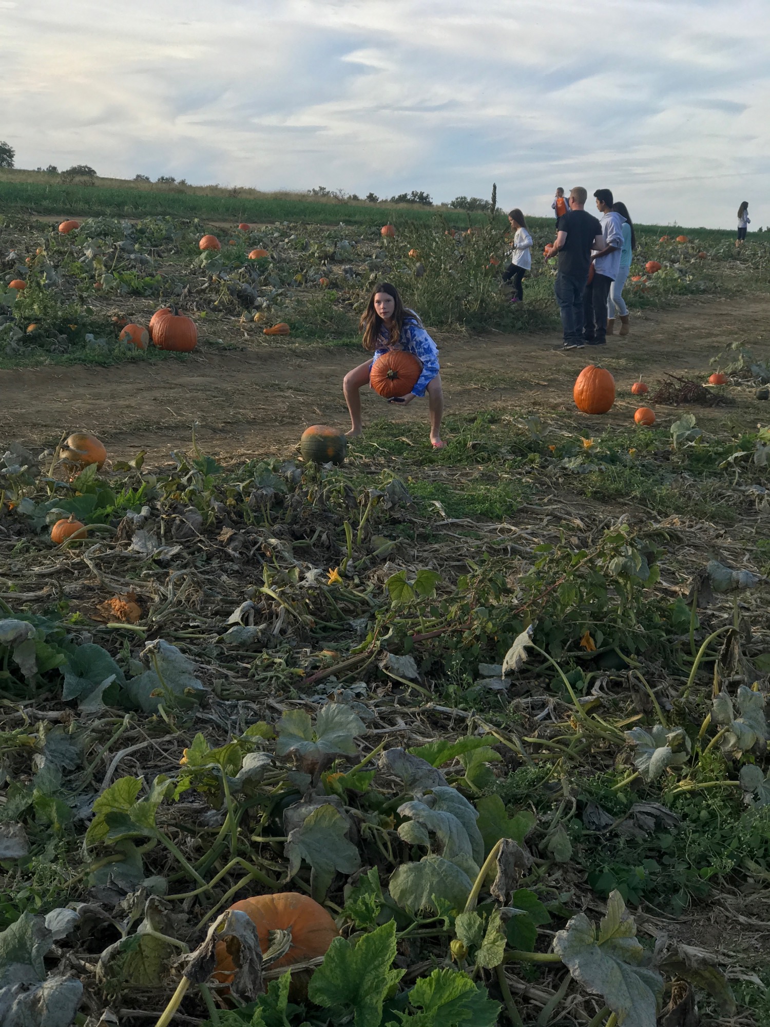 2017-10-22-pumpkin-patch-02 photo