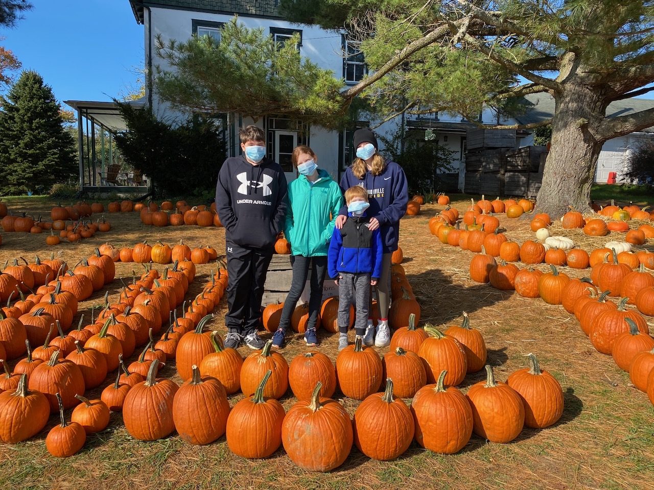 2020-10-18-pumpkin-pickin-01 photo