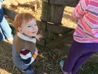 Pumpkin Picking 2016