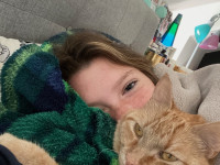 This Cat is OK