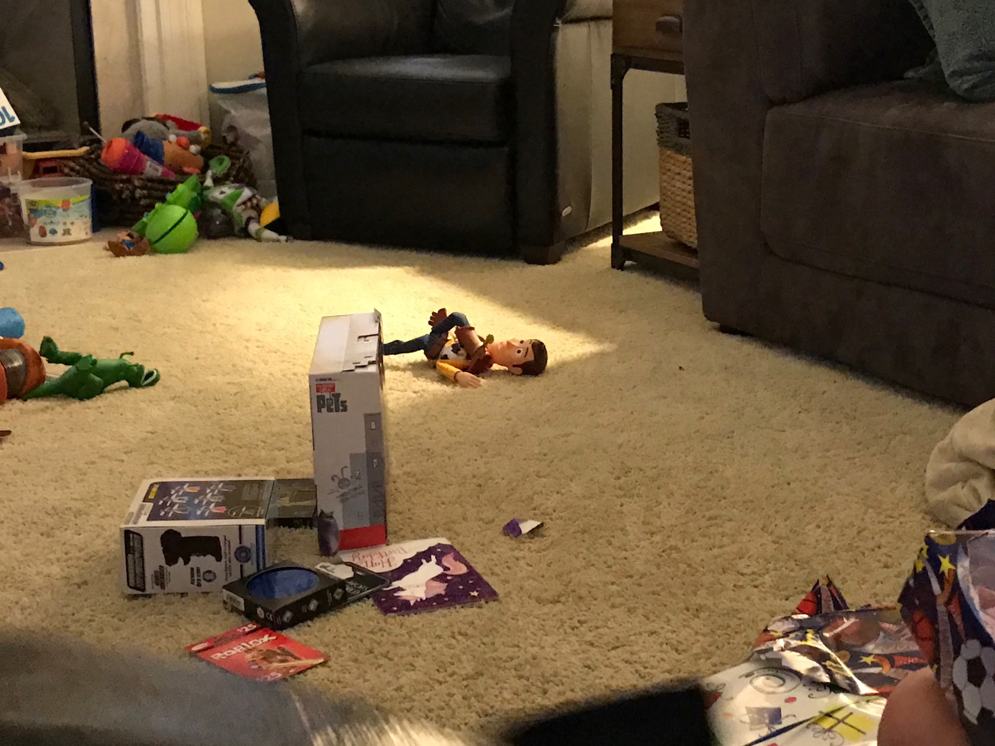 10-02-2016-twins-8th-birthday-09 photo